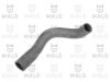 FIAT 4301518 Radiator Hose